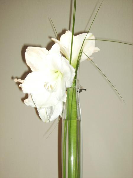 A Flower for a beautiful boy!!